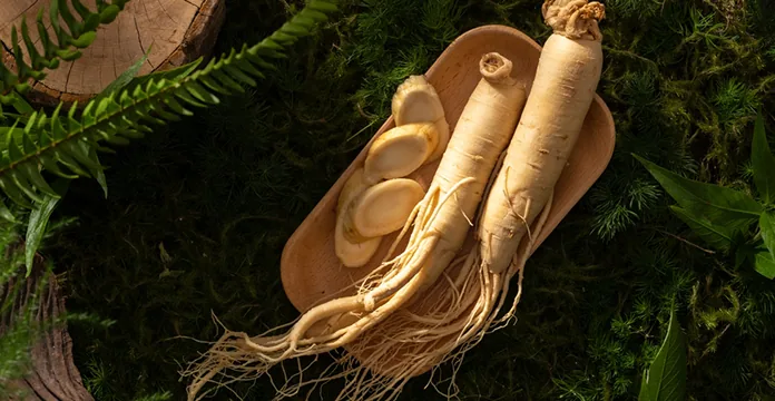 Panax Ginseng ingredient