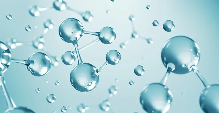 L-Arginine ingredient